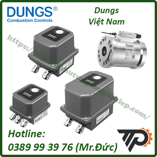 Dungs tại Việt Nam