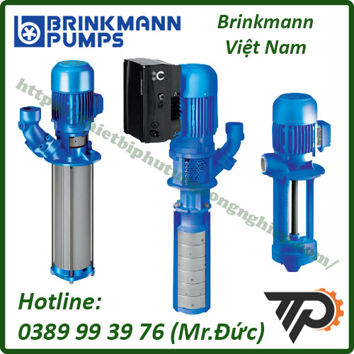 Brinkmann tại Việt Nam