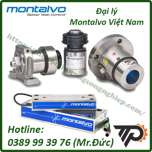 Đại lý Montalvo Việt Nam